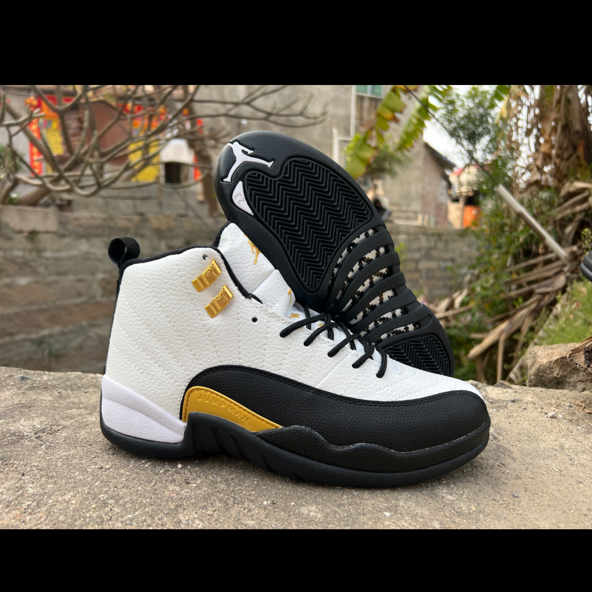 White, Black & Gold Jordan 12