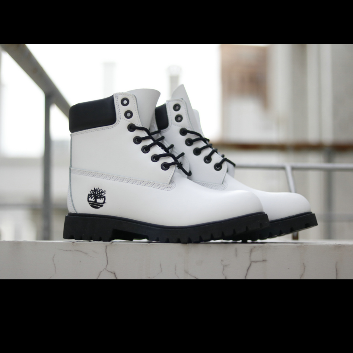 Timberlands