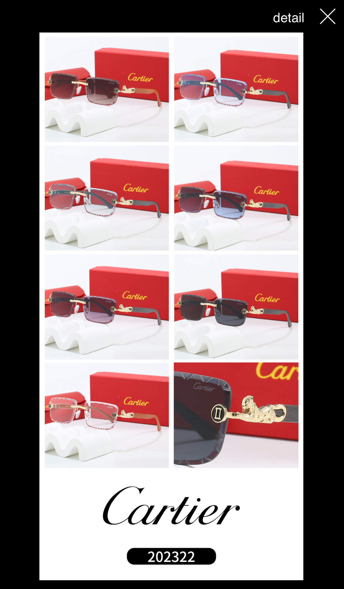 Cartier Sunglasses